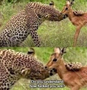 2025-08-25-04-09-22-1756138162117