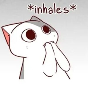 2025-11-09-04-53-08-1762663988074