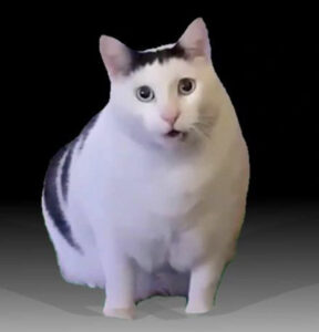 2025-11-26-11-45-42-1764157542242