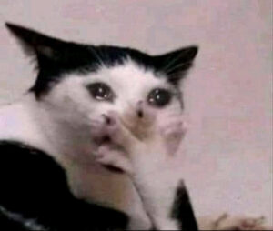 2025-12-27-07-49-09-1766821749536