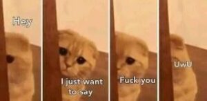 2026-01-03-02-15-29-1767449729261