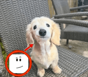 2026-01-27-03-51-08-1769485868243