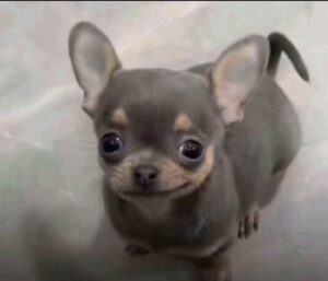 2026-01-27-11-22-46-1769556166431