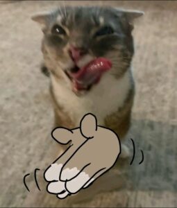 2026-01-29-02-06-13-1769695573887