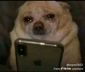 2026-02-11-08-49-25-1770842965897