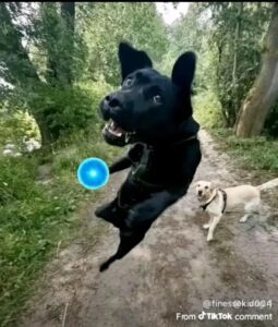 2026-02-12-04-40-02-1770914402907