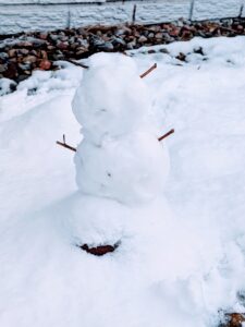 2026-02-15-04-42-07-1771173727043