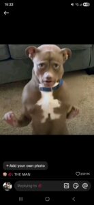 2026-02-15-09-29-34-1771190974283