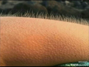 2026-03-11-04-23-19-1773202999574