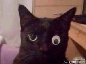 2026-03-17-08-58-52-1773737932639