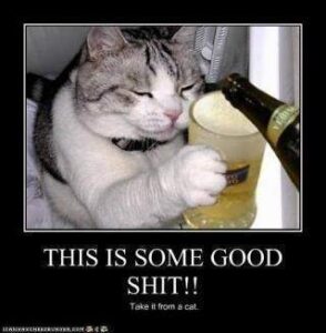 2026-03-25-11-35-06-1774438506190