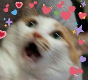 2026-04-10-06-00-01-1775844001245